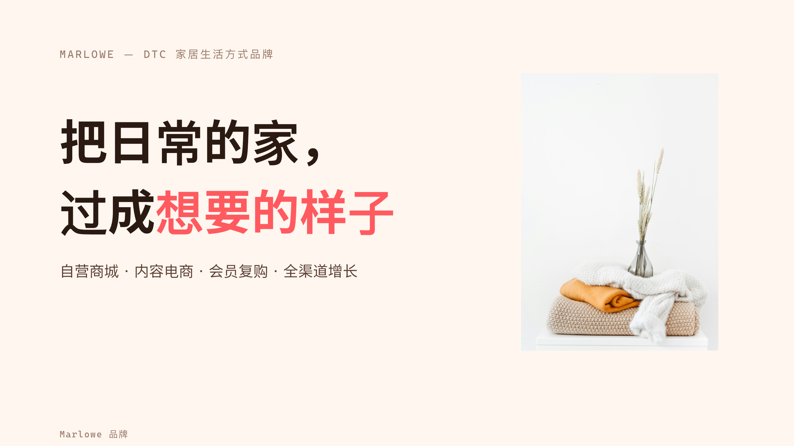 电商零售（DTC 家居生活方式品牌） 第 1 页