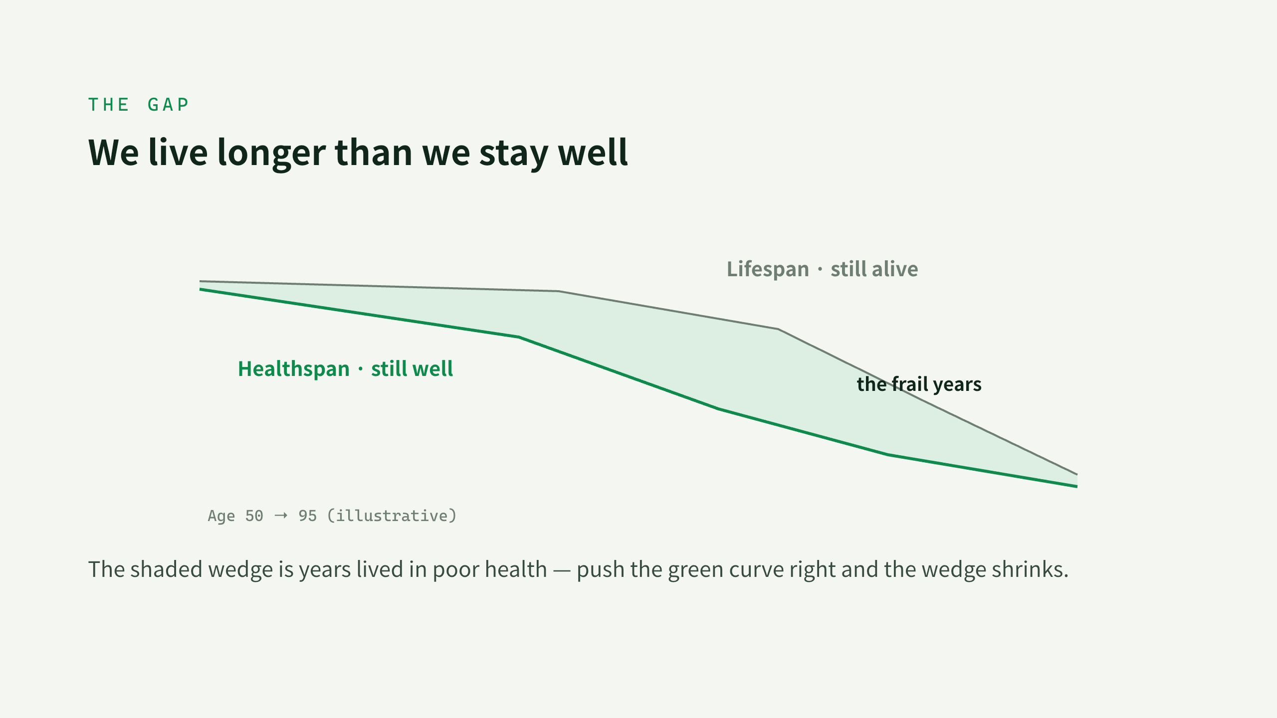 longevity / healthspan science 第 4 页