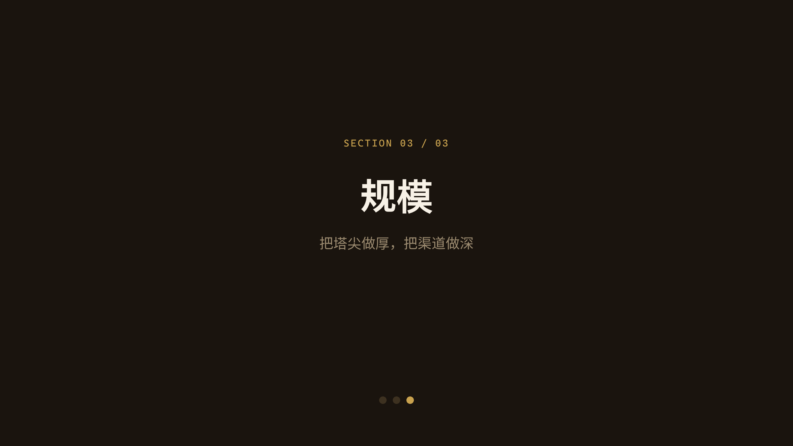 premium Chinese baijiu 第 9 页