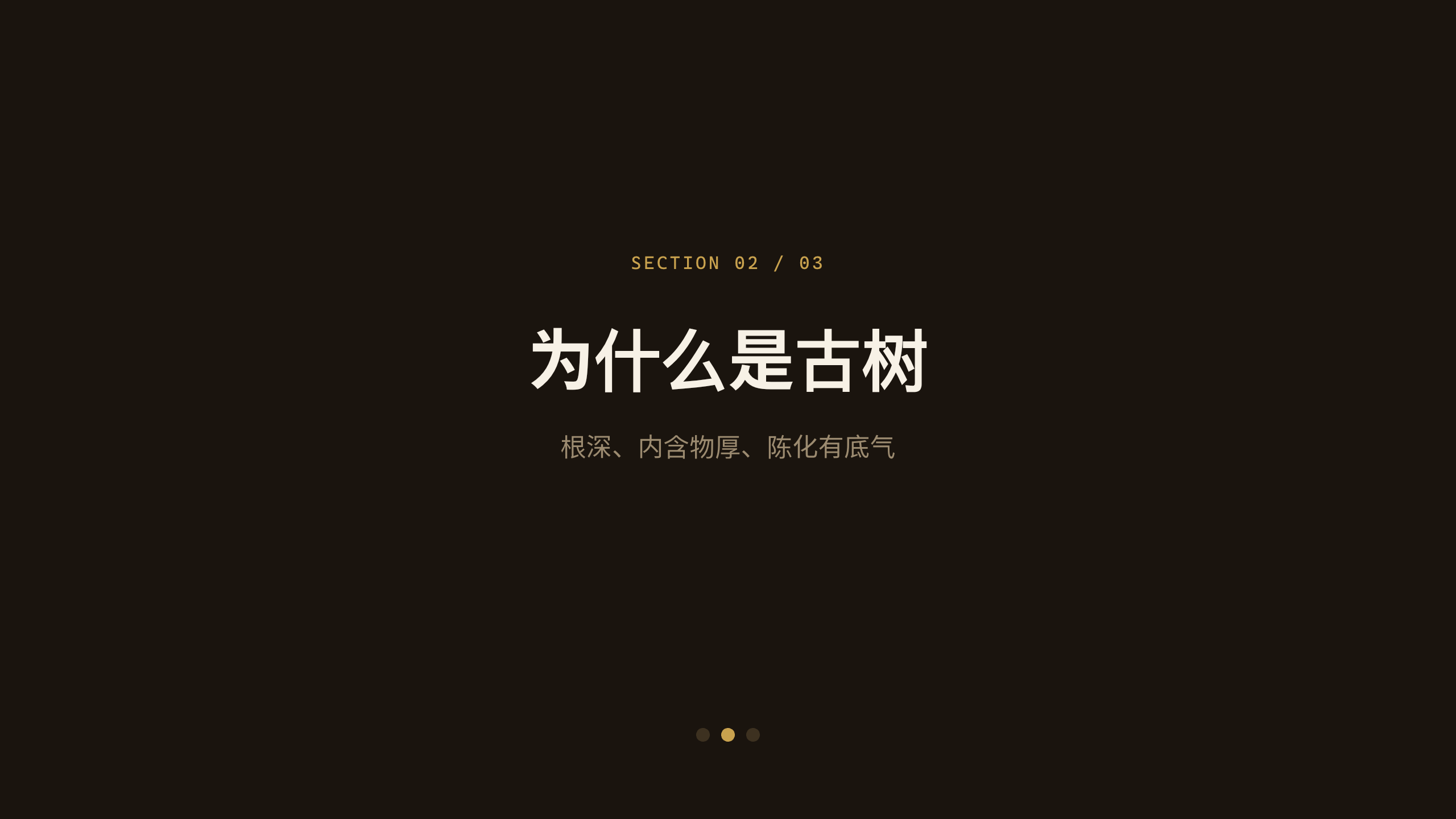 高端古树普洱 / premium aged puer 第 6 页